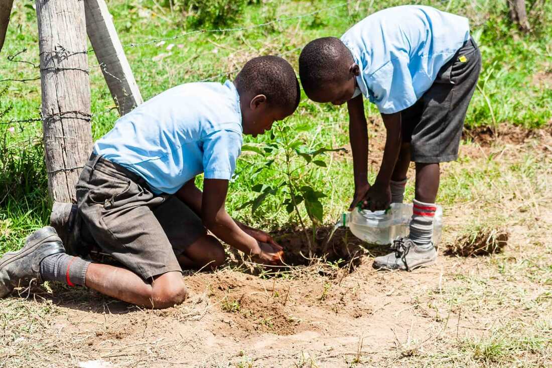 Ngong Hills Tree Planting Day